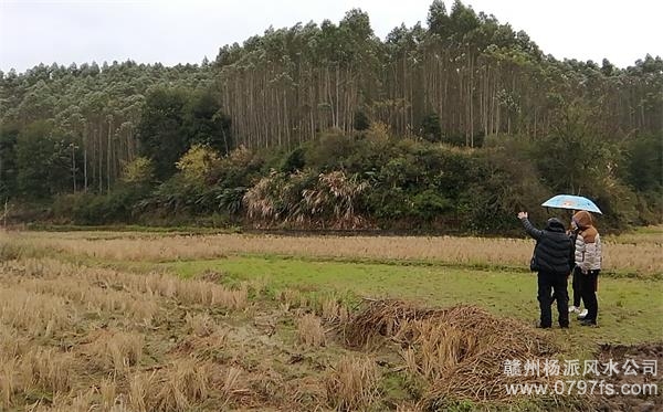 唐山市陈老师带着爱徒寻龙点穴